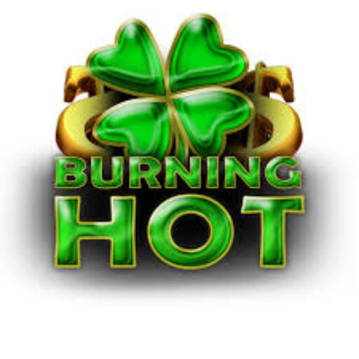burning hot logo
